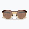 Oakley Hstn dunkel bernstein/hell curry Sonnenbrille 10