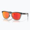 Oakley Frogskins Bereich matt grau Rauch/graue Tinte/ruby Sonnenbrille 5
