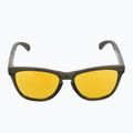 Oakley Frogskins Bereich dunkle Bürste/prizm 24k polarisierte Sonnenbrille 3
