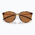 Oakley Sielo poliert braun schildpatt/prizm Bronze polar Sonnenbrille 6