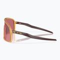 Sonnenbrille Oakley Sutro matte trans light curry/prizm dark golf 5
