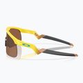 Sonnenbrille Kinder Oakley Resistor yellow/prizm tungsten 5