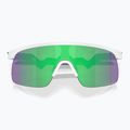 Oakley Resistor matt weiß/prizm jade Kindersonnenbrille 3