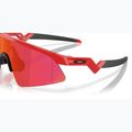 Oakley Resistor Sweep redline/prizm Feld Kindersonnenbrille 6