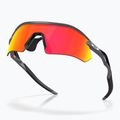 Oakley Radar Plate mattem Kohlenstoff/prizm Rubin Sonnenbrille 4