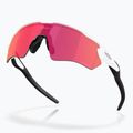 Oakley Radar EV S Path Sonnenbrille poliert weiß/prizm Feld 4