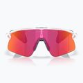 Sonnenbrille Oakley Stunt Devil matte clear/prizm field 2