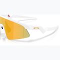 Kinder-Sonnenbrille Oakley resistor sweep matte white/prizm 24k 6