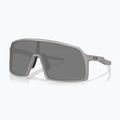 Sonnenbrille Oakley Sutro Titanium/Prizm Black