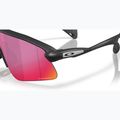Sonnenbrille Oakley Stunt Devil A matte black/prizm road 6
