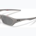 Sonnenbrille Oakley Terraforming titanium 6