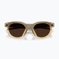 Brille mit Kamera Oakley Meta HSTN light curry/transitions brown 3