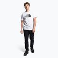 Herren-Trekkinghemd The North Face Easy weiß NF0A2TX3FN41 2