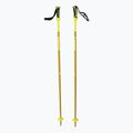 Skistöcke Salomon Arctic gelb L45592