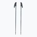 Skistöcke Fischer Lite asphalt grey