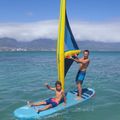 SUP Brett Fanatic Viper Air Windsurf 11'0  blau 13200-1148 11