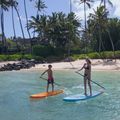 SUP Brett Fanatic Viper Air Windsurf 11'0  blau 13200-1148 12