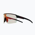 Sonnenbrille Red Bull SPECT Dakota Pro soft touch black/photochromic red mirror