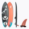 Fanatic Skate TE Windsurfbrett schwarz 13220-1008