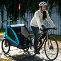 Thule Coaster XT Fahrradanhänger+Kinderwagen zweisitzig grün 10101820 7