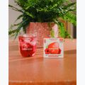Isotonisches Getränk waterdrop Microdrink Relax 12 Würfel hibiscus acerola 3
