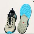 Herren Laufschuhe Salomon Sense Ride 5 alfalfa/carbon/peacock blau 14