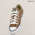 Converse Chuck Taylor All Star Classic Ox Heißer Tee Turnschuhe 9