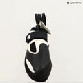 Kletterschuh Evolv Zenist grau/schwarz 18