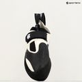 Kletterschuh Evolv Zenist grau/schwarz 6