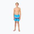 Rip Curl Surf Revival Volley blaue Farbe Kinder-Badeshorts 2