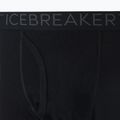 Herren Icebreaker 200 Oasis W/Fly 001 Thermohose schwarz IB1043700011 9