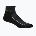 Icebreaker Damen Wandersocken Hike+ Light Mini grau 105098