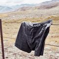 Icebreaker Herren-Boxershorts Anatomica 001 schwarz IB1030290101 8