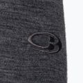 Herren Thermoaktivshirt icebreaker 200 Oasis Crewe gritstone 9