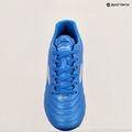 Herren Joma Aguila FG Fußballschuhe royal 14