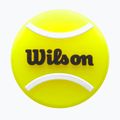 Schwingungsdämpfer Wilson Roland Garros Tennis Ball 2 Stk. yellow/ black/ white 3