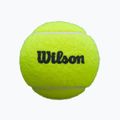 Padel-Bälle Wilson Premier Padel 3 Stk. yellow 5