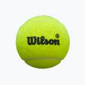 Padelbälle Wilson Premier Padel Speed 3B 3 Stück yellow 2
