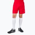 Herren Joma Treviso Trainingsshorts rot 100822.600