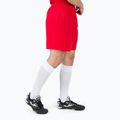 Herren Joma Treviso Trainingsshorts rot 100822.600 2