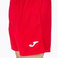 Herren Joma Treviso Trainingsshorts rot 100822.600 4
