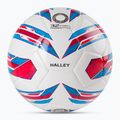Joma Halley Hybrid Futsal Fußball weiß 400355.616