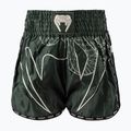 Herren-Trainingsshorts Venum Serpenti Muay Thai khaki/bronze/ivory