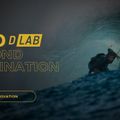 DUOTONE Kitesurfing-Drachen Neo D/Lab 2023 grau 44230-3024 6