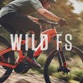 Orbea Wild FS H10 silbernes Elektrofahrrad M34718WB 14