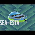 JOBE Sea-esta Towable 3P blau 230320010 Abschleppbarer Schwimmer 12