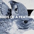 Damen Snowboard CAPiTA Birds Of A Feather 1221108 5
