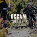 Orbea Occam H30 2023 glitter anthractite/metallic red Mountainbike 3
