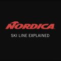 Ski Nordica ENFORCER 94 Flat grau-rot A2381 13