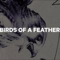 Damen Snowboard CAPiTA Birds Of A Feather weiß 1211119 13
